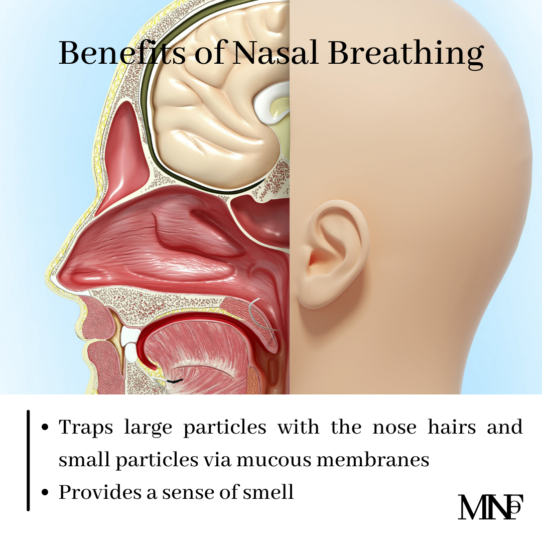 Nasal structure