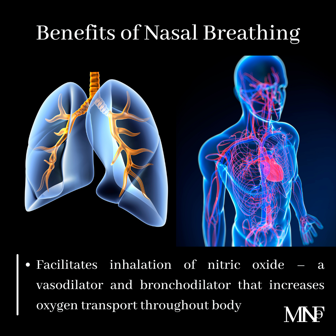 Facilitates inhalation of nitric oxide