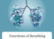 Functions of Breathing